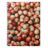 GALA APPLES NOTIZBLOCK (Vorderseite)