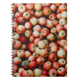 GALA APPLES NOTIZBLOCK