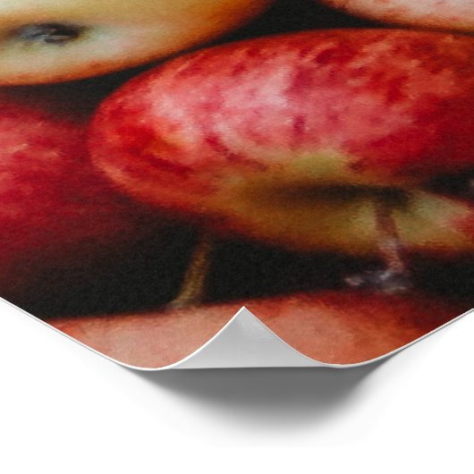 GALA APPLES POSTER (Ecke)
