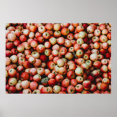 GALA APPLES POSTER (Vorne)