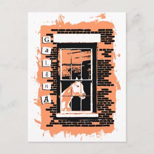 Galafenster Postkarte (Vorderseite)