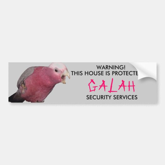 GALAH AUFKLEBER AUTOAUFKLEBER (Vorne)