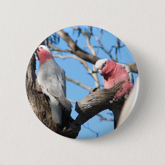 Galah Button (Vorderseite)