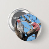 Galah Button (Vorne & Hinten)