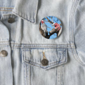 Galah Button (Beispiel)