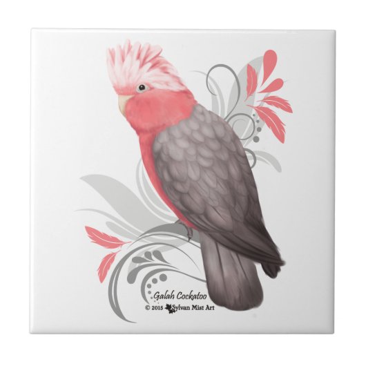 Galah Cockatoo Fliese (Vorderseite)