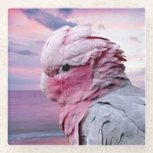 Galah Cockatoo Glasuntersetzer (Vorderseite)