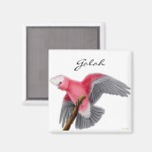 Galah Cockatoo Magnet (Vorderseite/Rückseite)