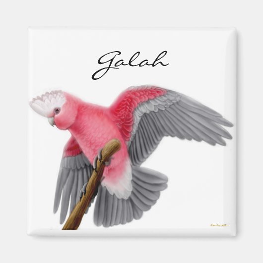 Galah Cockatoo Magnet (Vorne)