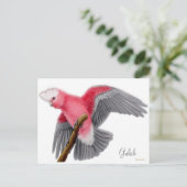 Galah Cockatoo Postcard Postkarte (Stehend Vorderseite)
