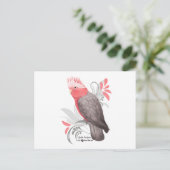 Galah Cockatoo Postkarte (Stehend Vorderseite)