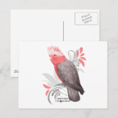 Galah Cockatoo Postkarte (Vorne/Hinten)