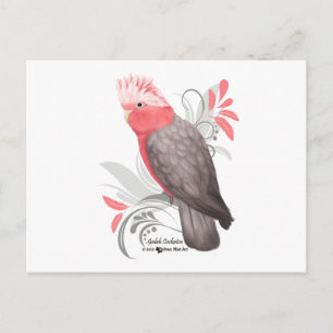 Galah Cockatoo Postkarte