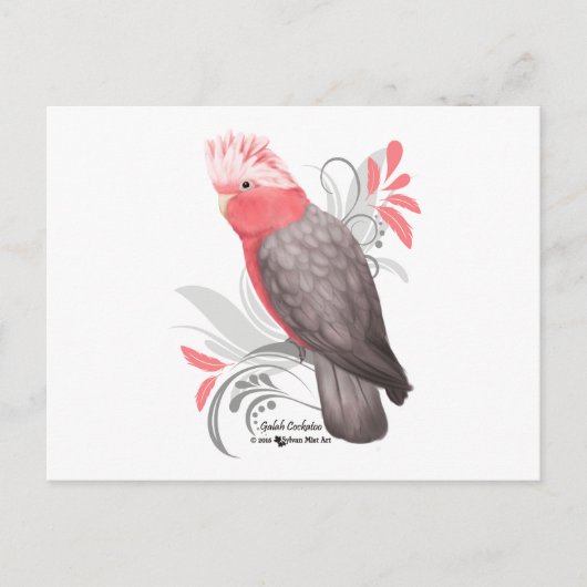 Galah Cockatoo Postkarte (Vorderseite)