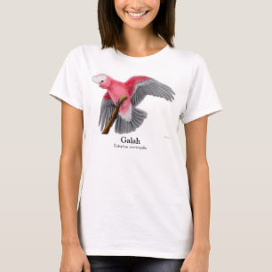 Galah Cockatoo-Spaghetti-Spitze T-Shirt
