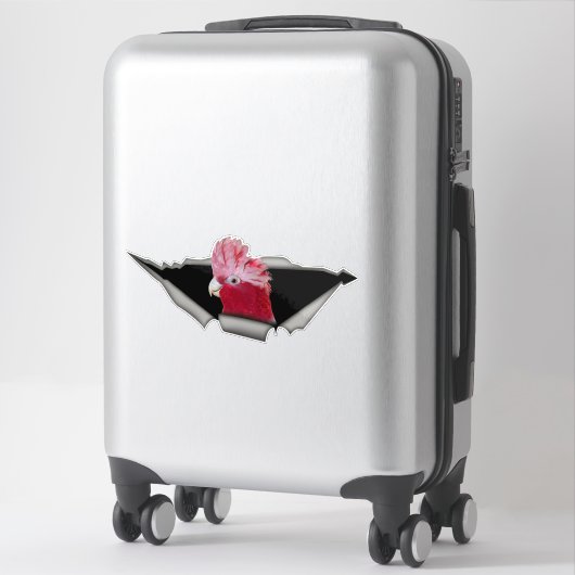 Galah Cockatoo Sticker – Pink Parrot Bird Decal (Koffer)