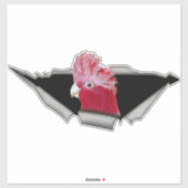 Galah Cockatoo Sticker – Pink Parrot Bird Decal (Blatt)