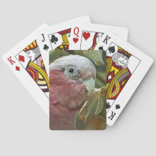 Galah-Kakadu Rosa Australischer Vogelporträt Spielkarten