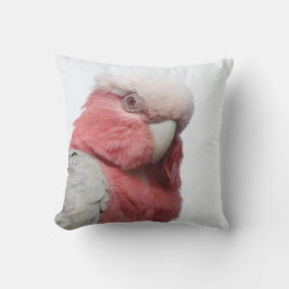 Galah Kissen