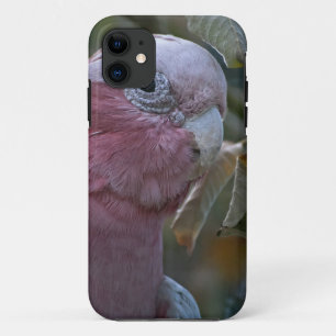 Galah oder Rosakakadu Case-Mate iPhone Hülle