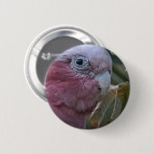 Galah oder Rose-Kakadu Button (Vorne & Hinten)