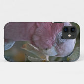Galah oder Rose-Kakadu Case-Mate iPhone Hülle (Rückseite (Horizontal))