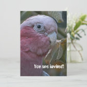 Galah oder Rose-Kakadu Einladung (Stehend Vorderseite)