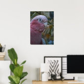 Galah oder Rose-Kakadu Poster (Heimbüro)