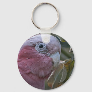 Galah oder Rose-Kakadu Schlüsselanhänger