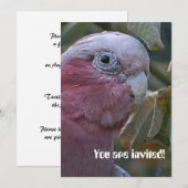 Galah oder Rosenbrust-Kakadu Einladung (Vorne/Hinten)
