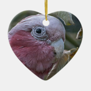 Galah oder Rosenbrust-Kakadu Keramik Ornament