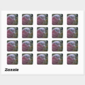 Galah oder Rosenbrust-Kakadu Quadratischer Aufkleber (Blatt)