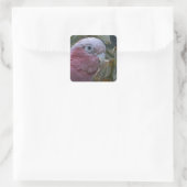 Galah oder Rosenbrust-Kakadu Quadratischer Aufkleber (Tasche)
