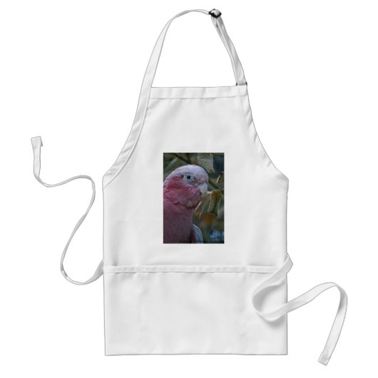 Galah oder Rosenbrust-Kakadu Schürze (Vorne)