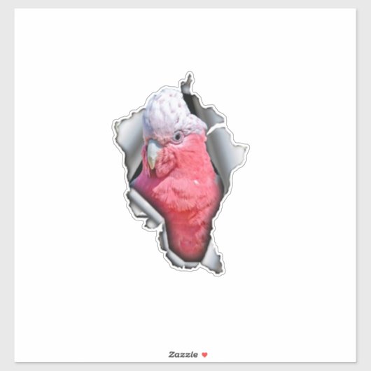 Galah Parrot Vinyl Decal – Pink & Grey Bird Sticke Aufkleber (Blatt)