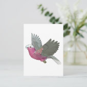 Galah Postkarte (Stehend Vorderseite)