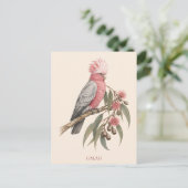 Galah Postkarte | Bush Edition (Stehend Vorderseite)