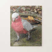 Galah Puzzle (Vertikal)