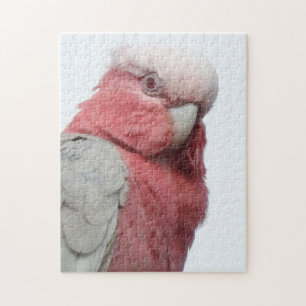 Galah Puzzlespiel Puzzle