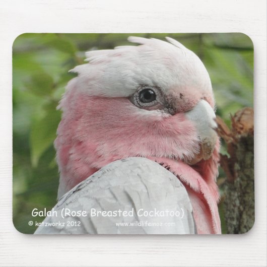 Galah (Rose Breasted Cockatoo) Mousepad (Vorne)