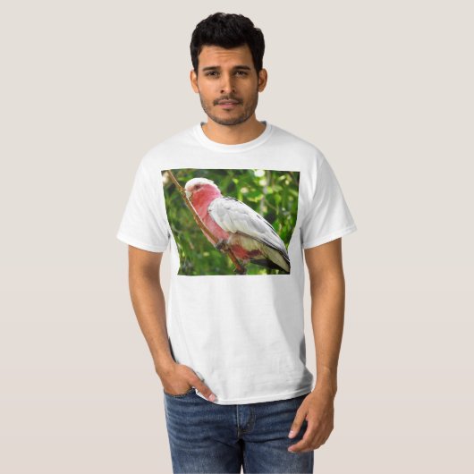 Galah (Rose Breasted Cockatoo) T-Shirt (Vorne ganz)
