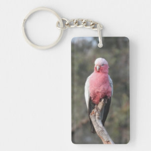 Galah Schlüsselanhänger