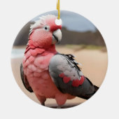 Galah stehend am Strand Keramik Ornament (Hinten)