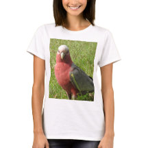 Galah T - Shirt