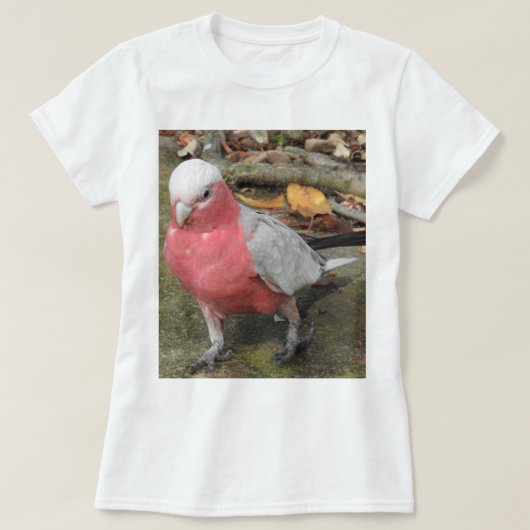 Galah T - Shirt (Design vorne)