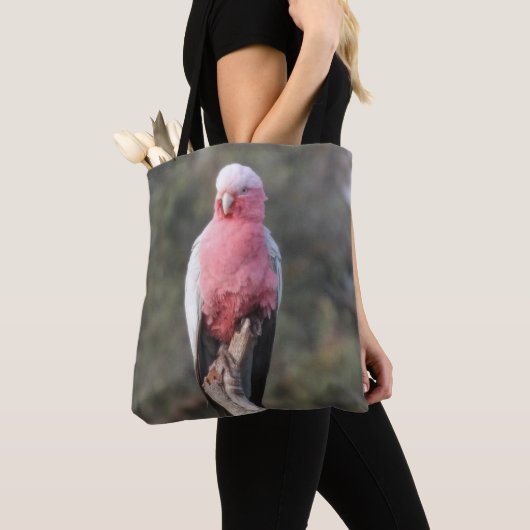 Galah Tasche (Von Nahem)