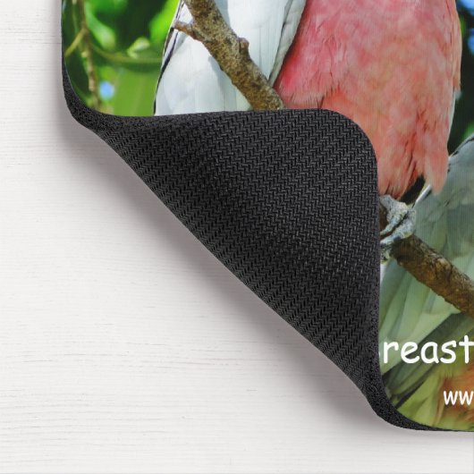 Galahs (Rose Breasted Cockatoo) Mousepad (Ecke)