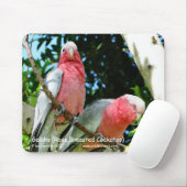 Galahs (Rose Breasted Cockatoo) Mousepad (Mit Mouse)