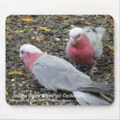Galahs (Rose Breasted Cockatoo) Mousepad (Vorne)
