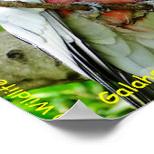 Galahs (Rose Breasted/Roseate Cockatoos) Poster (Ecke)